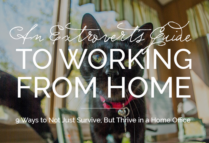 extrovert, pet adoption, community, working from home, home office