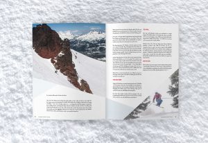 Ski Buyer's Guide, Blister Gear Review, Ski, Snowboard, Helmets, Goggles, Print Layout, Graphic Design