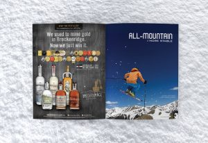 Ski Buyer's Guide, Blister Gear Review, Ski, Snowboard, Helmets, Goggles, Print Layout, Graphic Design